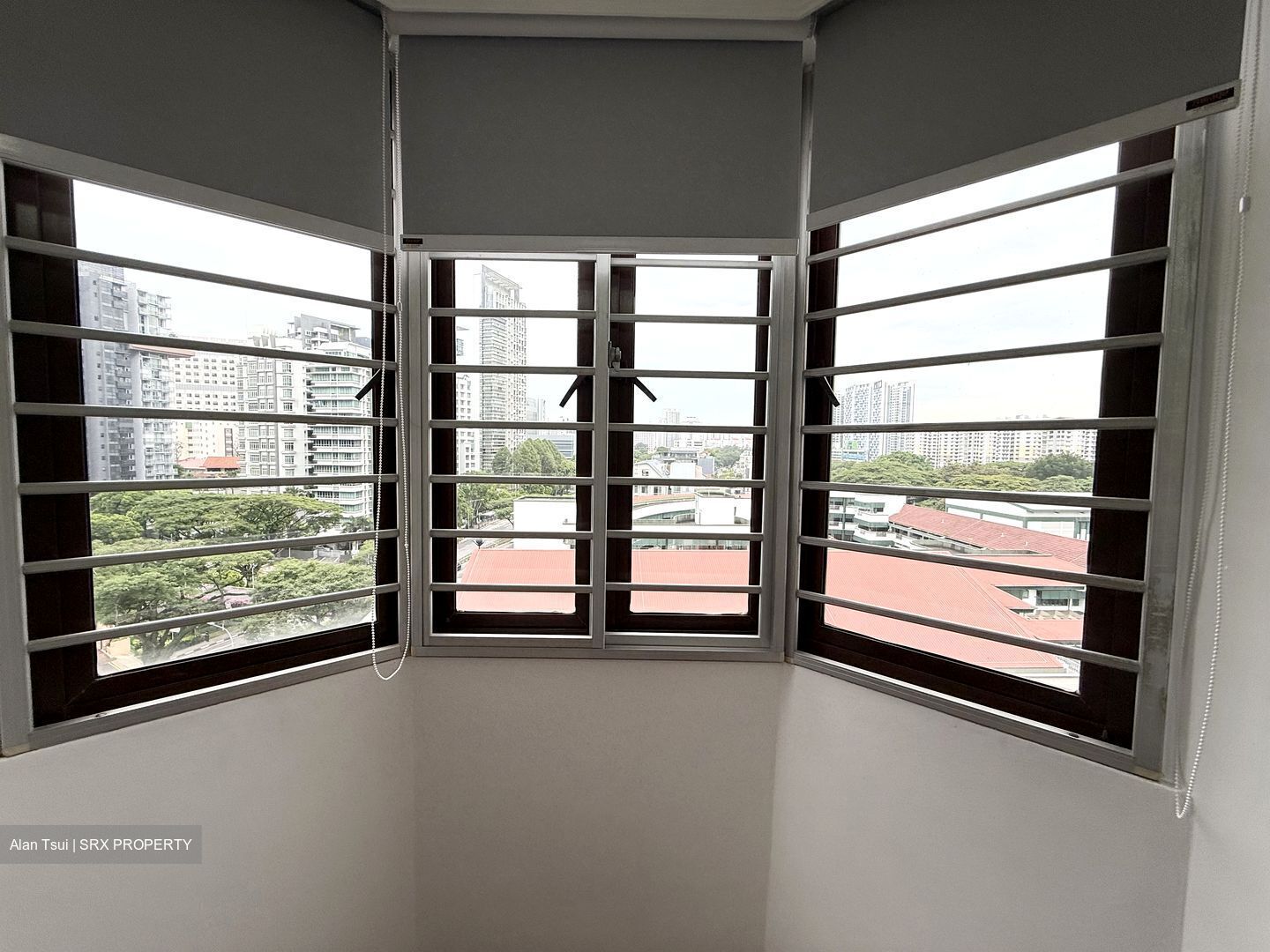 Birmingham Mansions (D11), Apartment #500043981